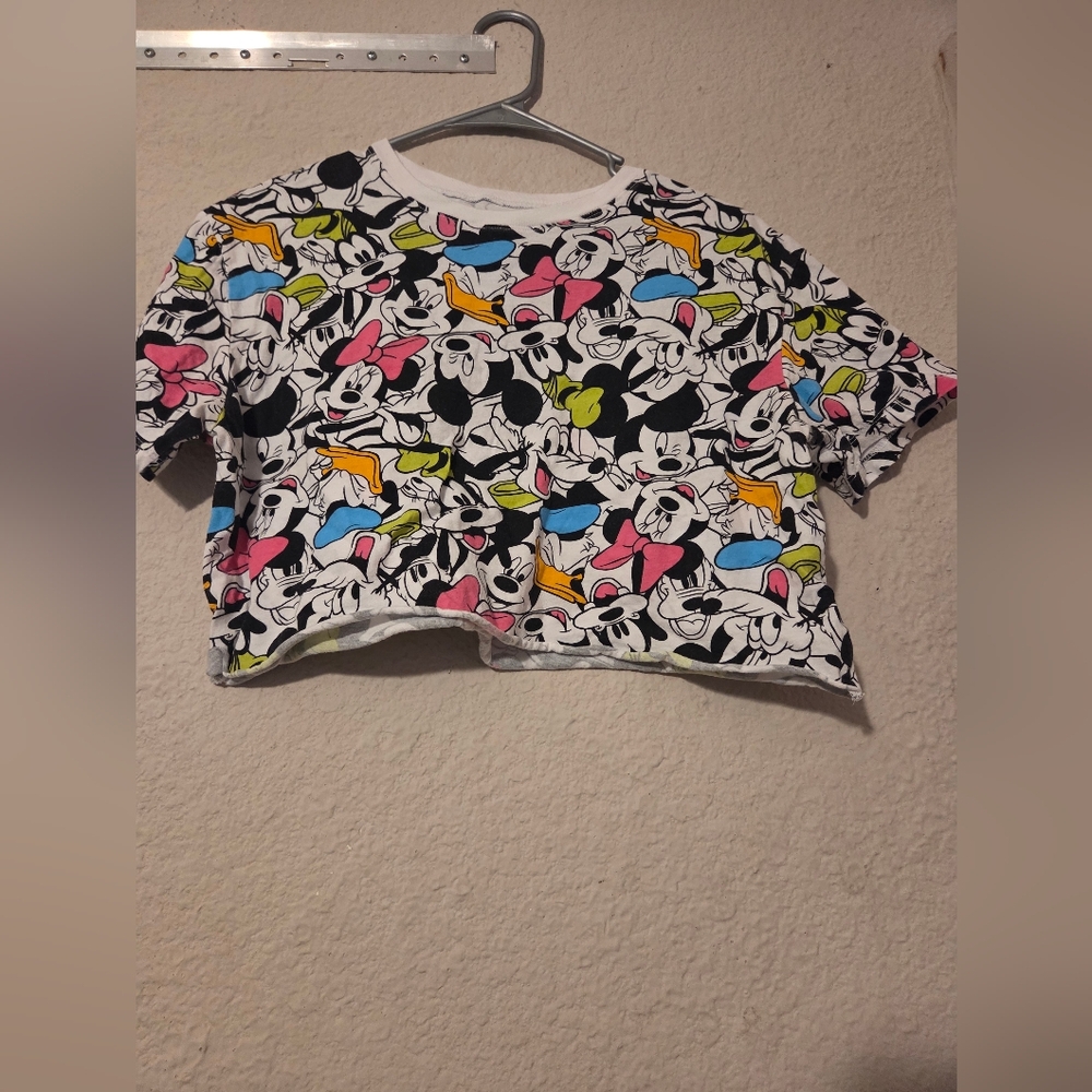 Disney Mickey and Friends Blue and Pink Top